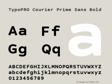 TypoPRO Courier Prime Sans Bold Version 3.020图片样张