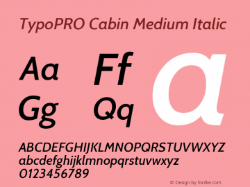 TypoPRO Cabin Medium Italic Version 1.005图片样张