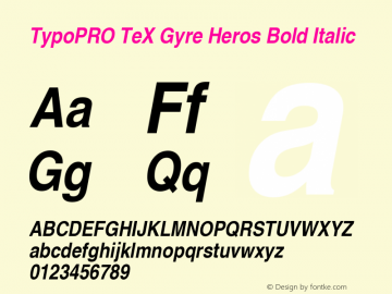 TypoPRO TeX Gyre Heros Bold Italic Version 2.004;PS 2.004;hotconv 1.0.49;makeotf.lib2.0.14853图片样张