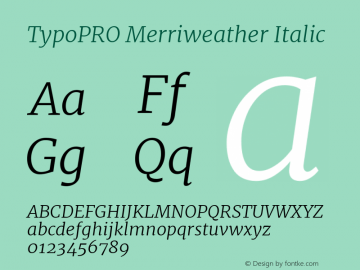 TypoPRO Merriweather Italic Version 1.584; ttfautohint (v1.5) -l 6 -r 36 -G 0 -x 10 -H 350 -D latn -f cyrl -w 