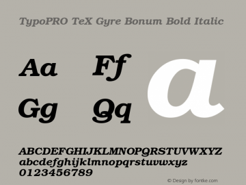 TypoPRO TeX Gyre Bonum Bold Italic Version 2.004;PS 2.004;hotconv 1.0.49;makeotf.lib2.0.14853 Font Sample