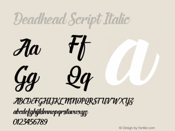 Deadhead Script Italic 1.000 Font Sample