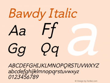 Bawdy Italic Version 1.000;PS 1.000;hotconv 1.0.38图片样张