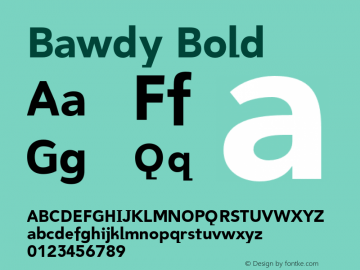 Bawdy Bold Version 1.000;PS 001.000;hotconv 1.0.38 Font Sample