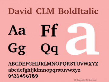 David CLM BoldItalic Version 0.105图片样张