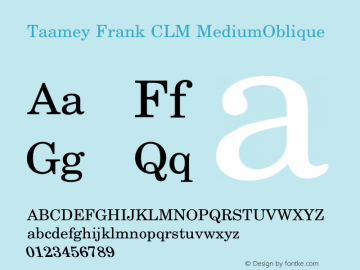 Taamey Frank CLM MediumOblique 0.110图片样张