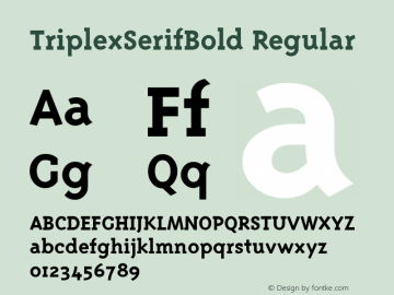 TriplexSerifBold Regular Macromedia Fontographer 4.1 12/22/96 Font Sample