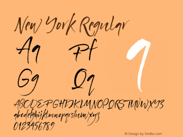 New York Regular Version 1.000;PS 001.000;hotconv 1.0.88;makeotf.lib2.5.64775 Font Sample