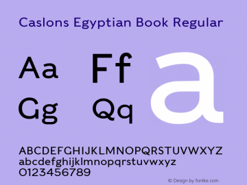 Caslons Egyptian Book Regular Version 1.000;PS 1.0;hotconv 1.0.70;makeotf.lib2.5.58329图片样张