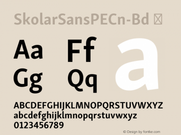 SkolarSansPECn-Bd ☞ Version 2.004;PS 2.003;hotconv 1.0.88;makeotf.lib2.5.647800; ttfautohint (v1.5);com.myfonts.easy.rosetta.skolar-sans-pe.condensed-bold.wfkit2.version.4FtW Font Sample