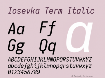 Iosevka Term Italic 1.9.6图片样张