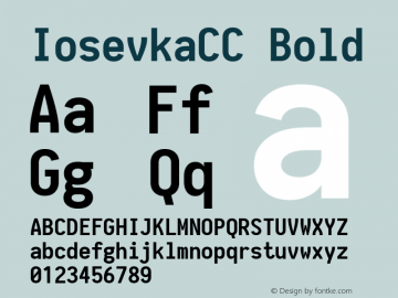 IosevkaCC Bold 1.9.6 Font Sample