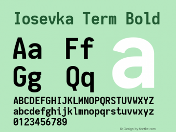 Iosevka Term Bold 1.9.6图片样张