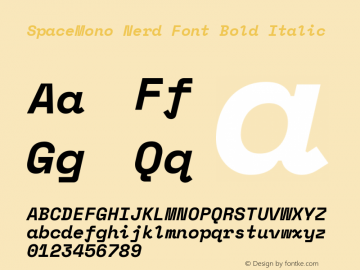 SpaceMono Nerd Font Bold Italic Version 1.000;PS 1.000;hotconv 1.0.81;makeotf.lib2.5.63406图片样张