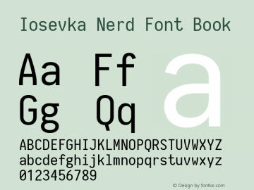Iosevka Nerd Font Book 1.8.4; ttfautohint (v1.5) Font Sample