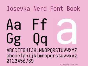 Iosevka Nerd Font Book 1.8.4; ttfautohint (v1.5) Font Sample