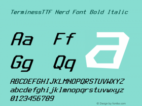 TerminessTTF Nerd Font Bold Italic Version 4.40.1;Nerd Fonts 0. Font Sample