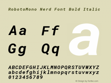 RobotoMono Nerd Font Bold Italic Version 2.000986; 2015; ttfautohint (v1.3) Font Sample