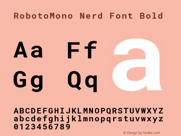 RobotoMono Nerd Font Bold Version 2.000986; 2015; ttfautohint (v1.3) Font Sample