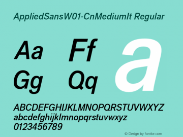 AppliedSansW01-CnMediumIt Regular Version 1.00 Font Sample
