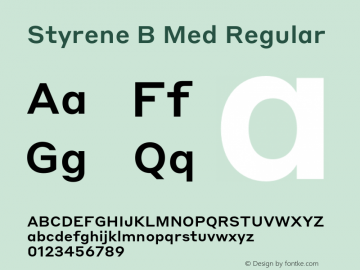 Styrene B Med Regular Version 1.1 2016图片样张