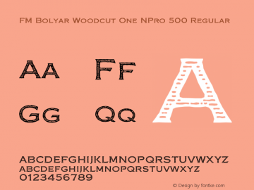 FM Bolyar Woodcut One NPro 500 Regular Version 1.160;com.myfonts.easy.fontmaker.fm-bolyar-typecraft.woodcut-one-npro-500.wfkit2.version.4Gf5图片样张