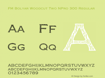 FM Bolyar Woodcut Two NPro 300 Regular Version 1.160; ttfautohint (v0.95) -d;com.myfonts.easy.fontmaker.fm-bolyar-typecraft.woodcut-two-npro-300.wfkit2.version.4Gfo Font Sample