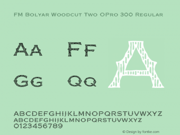 FM Bolyar Woodcut Two OPro 300 Regular Version 1.160; ttfautohint (v0.95) -d;com.myfonts.easy.fontmaker.fm-bolyar-typecraft.woodcut-two-opro-300.wfkit2.version.4Gft图片样张