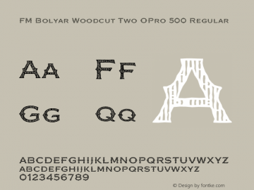 FM Bolyar Woodcut Two OPro 500 Regular Version 1.160;com.myfonts.easy.fontmaker.fm-bolyar-typecraft.woodcut-two-opro-500.wfkit2.version.4Gfu图片样张