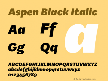 Aspen Black Italic Version 1.001图片样张