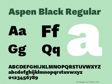 Aspen Black Regular Version 1.001图片样张