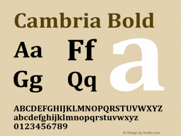 Cambria Bold Version 6.96 Font Sample