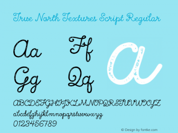 True North Textures Script Regular Version 1.000;PS 002.000;hotconv 1.0.70;makeotf.lib2.5.58329 Font Sample