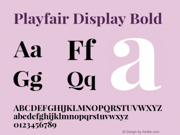 Playfair Display Bold Version 1.002;PS 001.002;hotconv 1.0.70;makeotf.lib2.5.58329; ttfautohint (v0.93) -l 42 -r 42 -G 200 -x 14 -w 