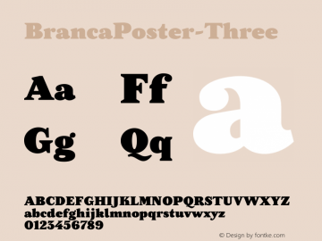 BrancaPoster-Three ☞ Version 1.000;com.myfonts.easy.uff.branca-poster.three.wfkit2.version.3RgG Font Sample