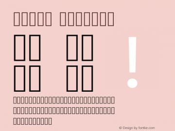 Vazir Regular Version 6.3.3 Font Sample