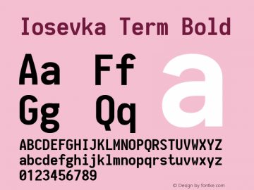 Iosevka Term Bold 1.10.0图片样张