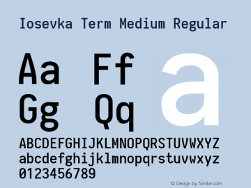 Iosevka Term Medium Regular 1.10.0图片样张