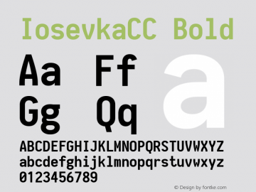 IosevkaCC Bold 1.10.0 Font Sample