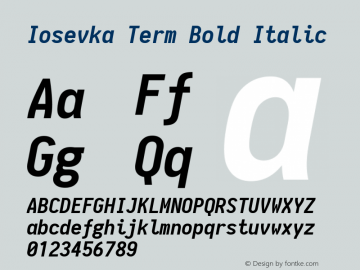 Iosevka Term Bold Italic 1.10.0图片样张