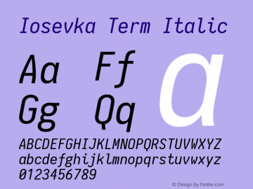 Iosevka Term Italic 1.10.0图片样张