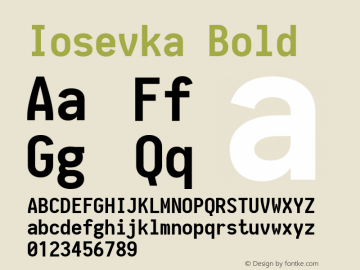 Iosevka Bold 1.10.0 Font Sample