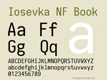 Iosevka NF Book 1.8.4; ttfautohint (v1.5) Font Sample