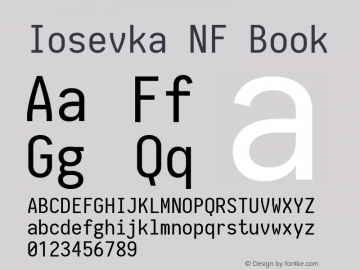 Iosevka NF Book 1.8.4; ttfautohint (v1.5) Font Sample