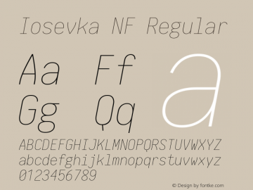 Iosevka NF Regular 1.8.4; ttfautohint (v1.5) Font Sample