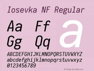 Iosevka NF Regular 1.8.4; ttfautohint (v1.5)图片样张