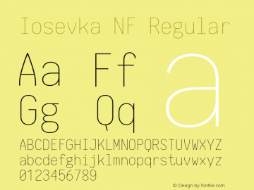 Iosevka NF Regular 1.8.4; ttfautohint (v1.5) Font Sample