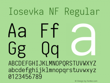 Iosevka NF Regular 1.8.4; ttfautohint (v1.5) Font Sample