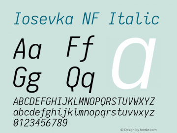 Iosevka NF Italic 1.8.4; ttfautohint (v1.5) Font Sample