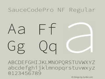 SauceCodePro NF Regular Version 2.010;PS 1.000;hotconv 1.0.84;makeotf.lib2.5.63406 Font Sample